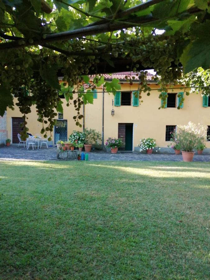 לינה וארוחת בוקר ויקיו Mugello - Casa Di Campagna מראה חיצוני תמונה